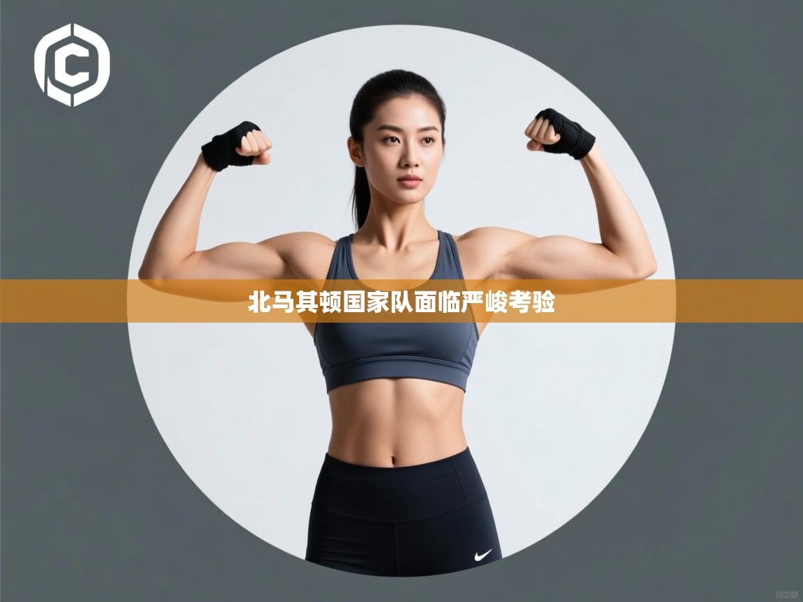 北马其顿国家队面临严峻考验  第1张